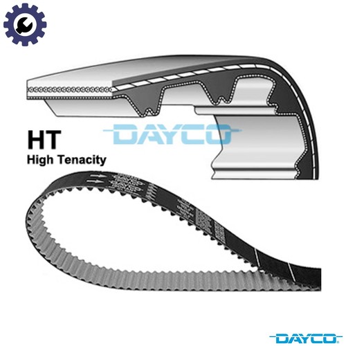 Timing belt 94941 - for, vw