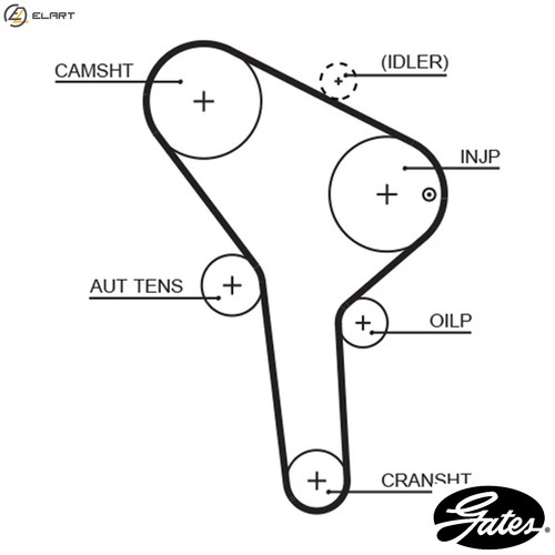 Timing belt 5564xs - for, skoda