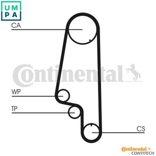 Water pump timing belt kit - belt,