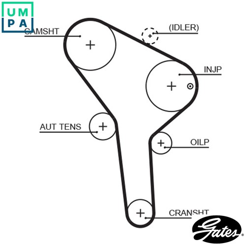 Timing belt 5564xs - 5564xs, for
