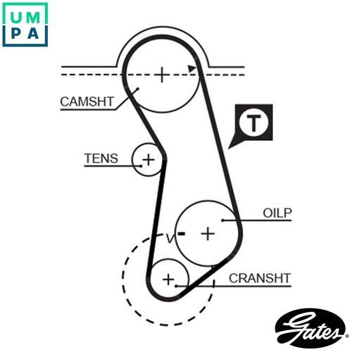 Timing belt 5016 for - timing,