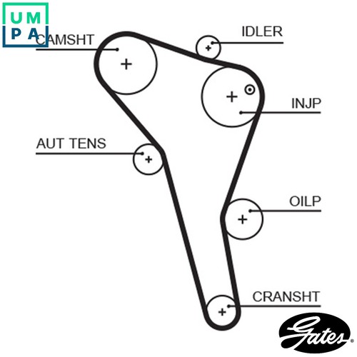 Timing belt 5622xs for - timing,