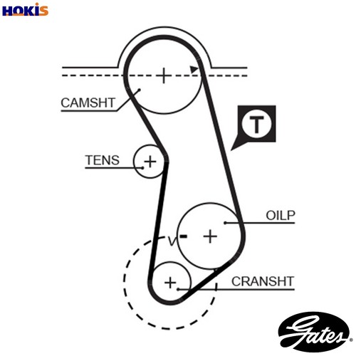 Timing belt 5016 for - timing,
